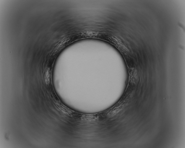 X0000091240866200709061538