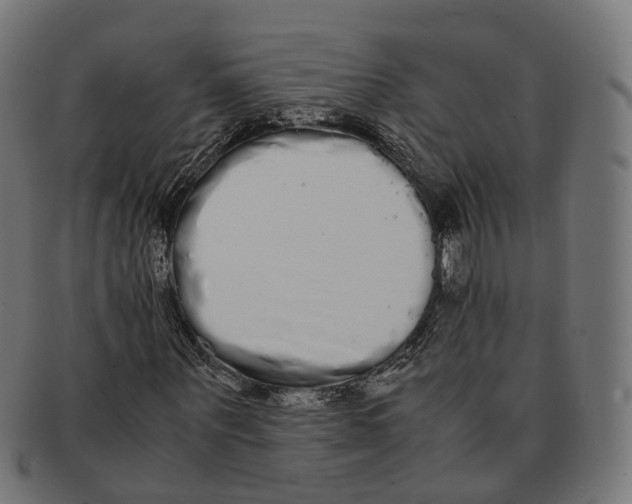 X0000091240867200709061538