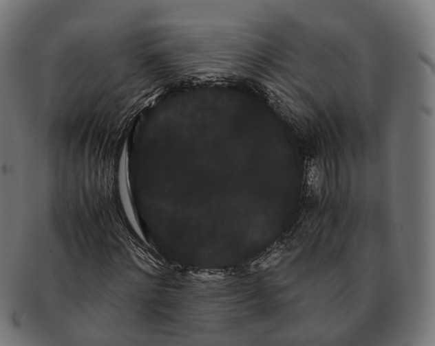 X0000091240868200709061538