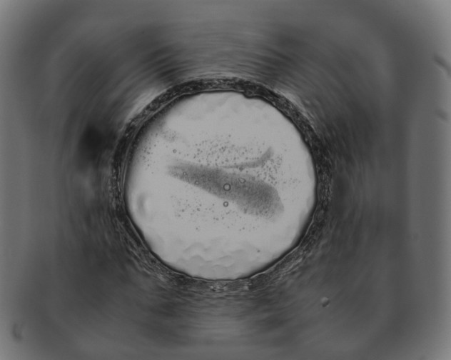X0000091240871200709061538