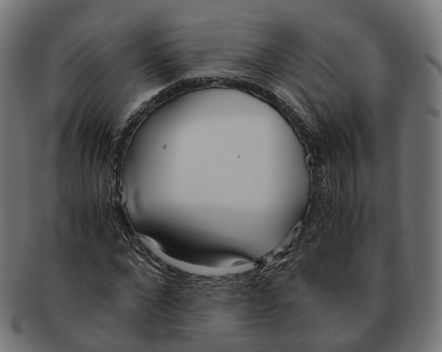 X0000091240872200709061538