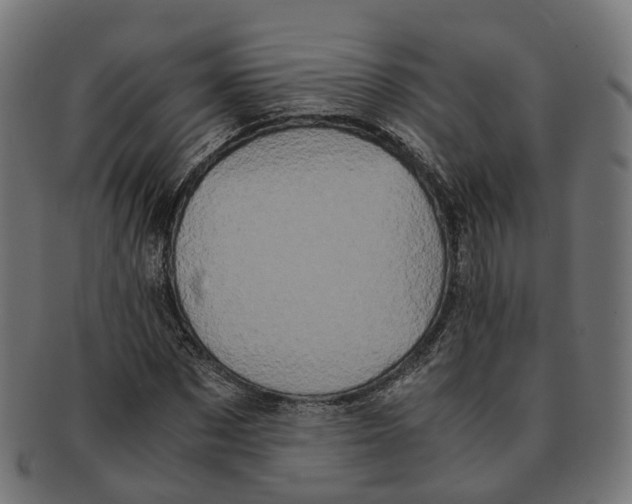 X0000091240873200709061538