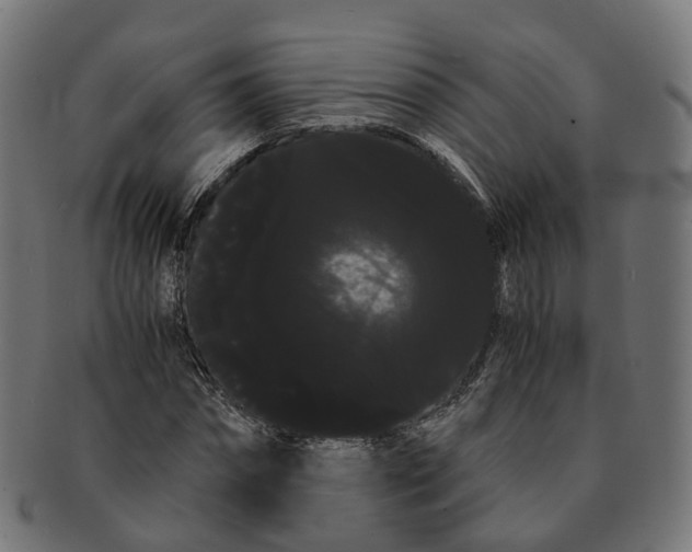 X0000091240874200709061538