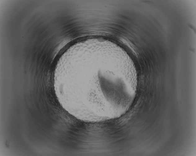 X0000091240875200709061538