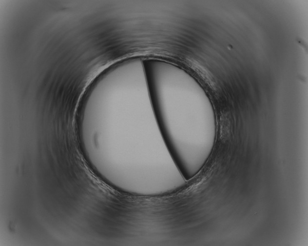 X0000091240876200709061538