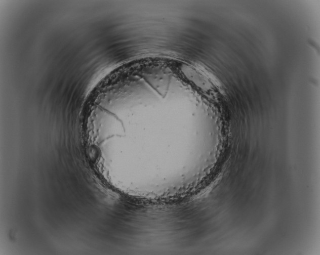 X0000091240877200709061538