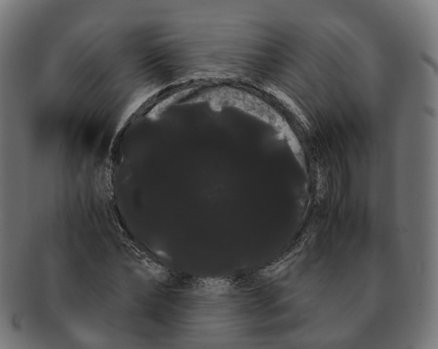 X0000091240878200709061538