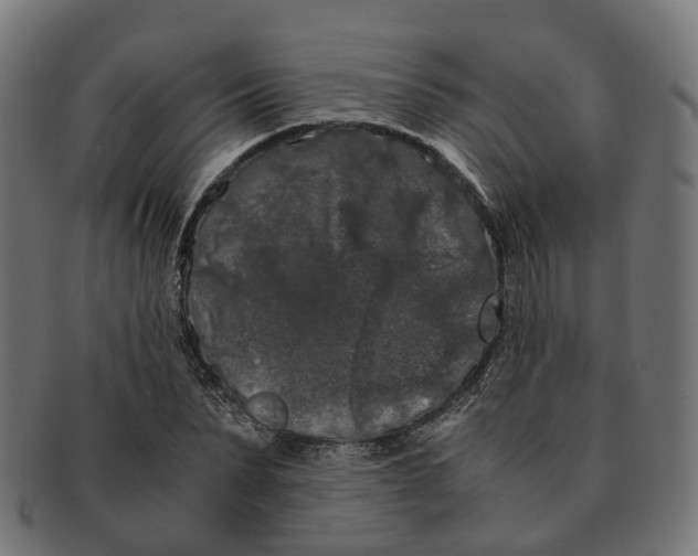 X0000091240879200709061538