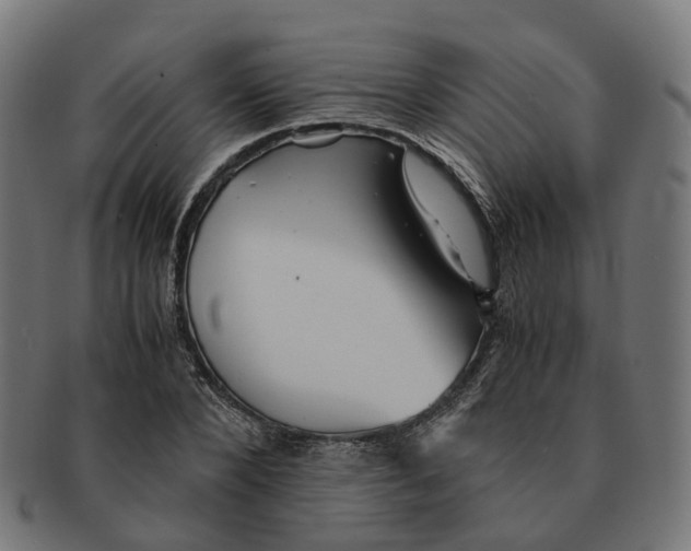 X0000091240880200709061538