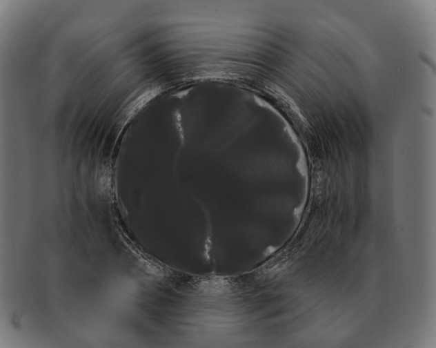 X0000091240882200709061538
