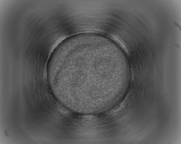 X0000091240883200709061538