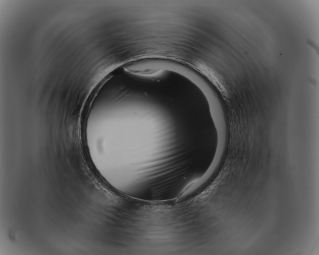 X0000091240884200709061538