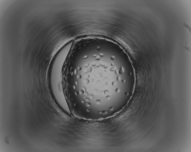 X0000091240885200709061538