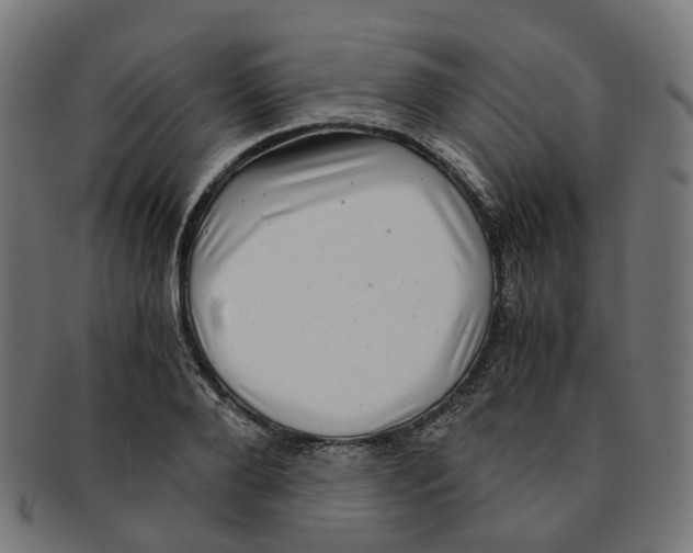 X0000091240888200709061537