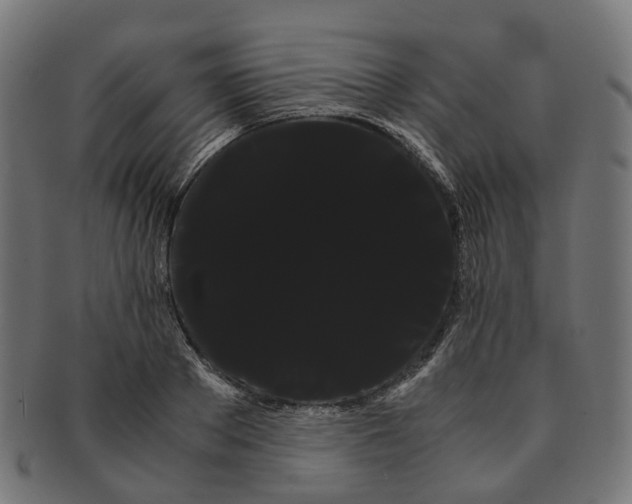 X0000091240889200709061537