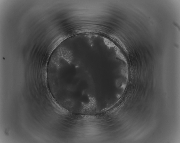 X0000091240890200709061537