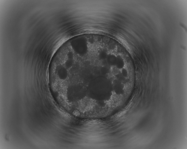 X0000091240891200709061537