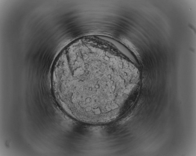 X0000091240892200709061537