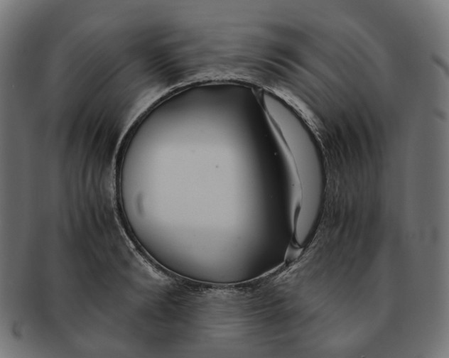 X0000091240894200709061537