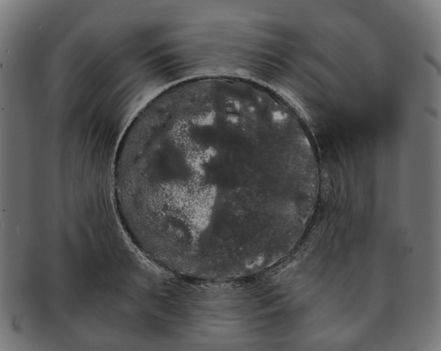 X0000091240895200709061537