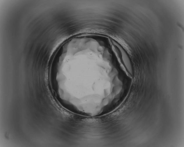 X0000091240896200709061537