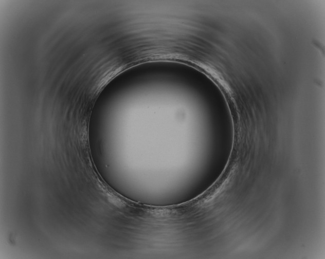 X0000091240897200709061537