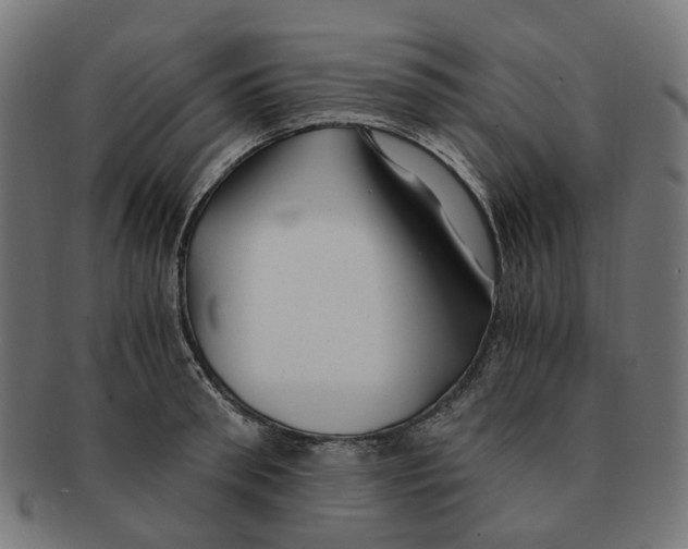X0000091240898200709061537