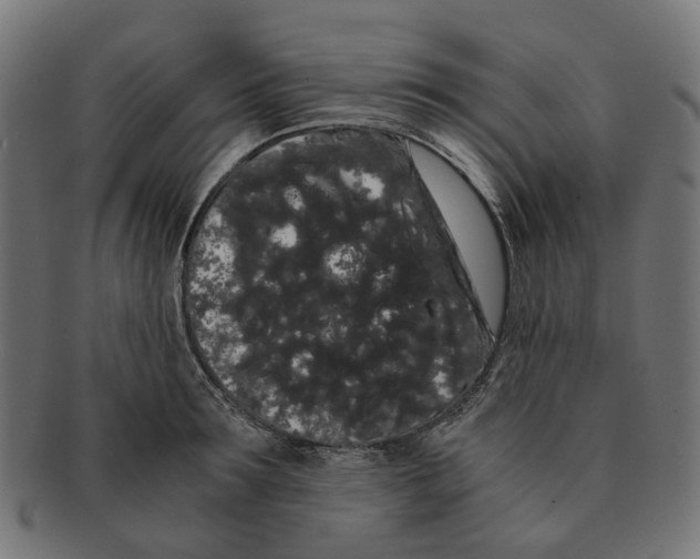 X0000091240899200709061537