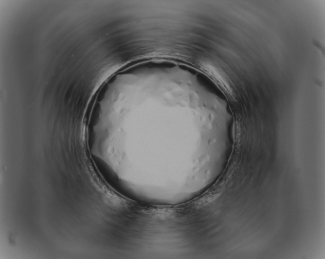 X0000091240900200709061537