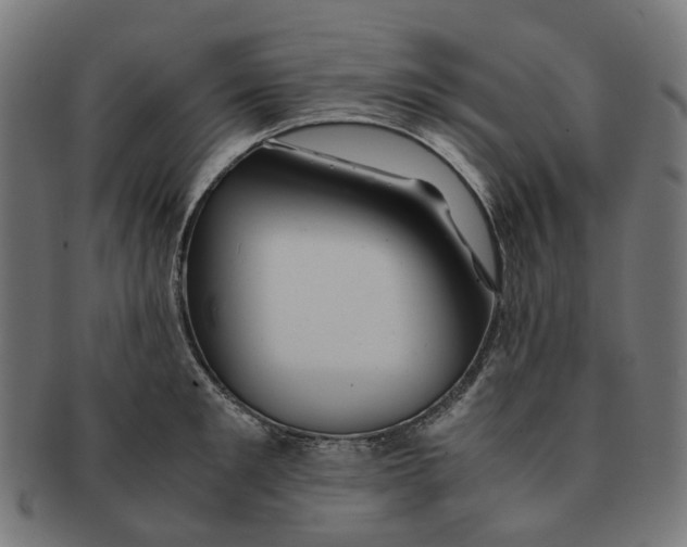 X0000091240901200709061537