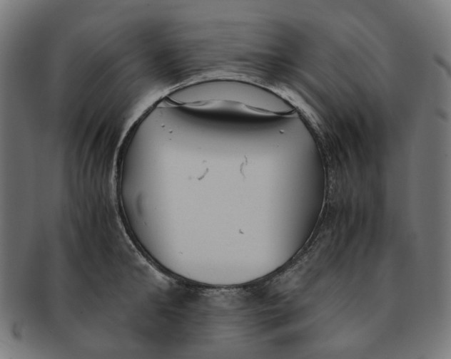 X0000091240902200709061537