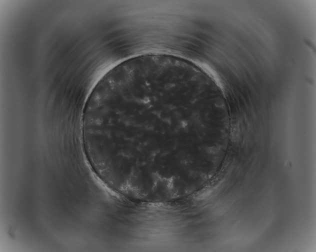 X0000091240903200709061537