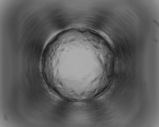 X0000091240904200709061537