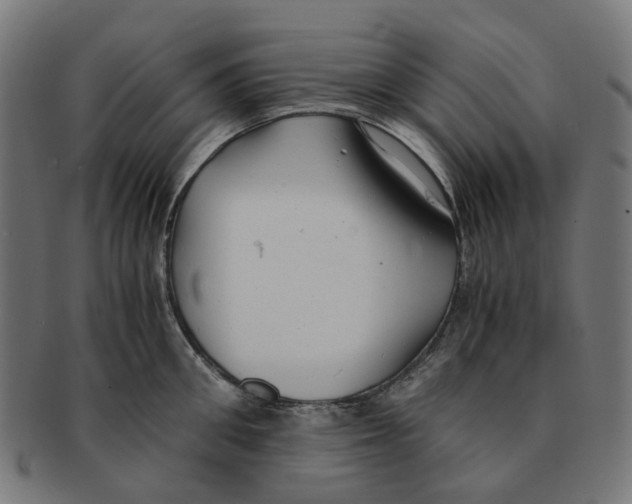 X0000091240906200709061537