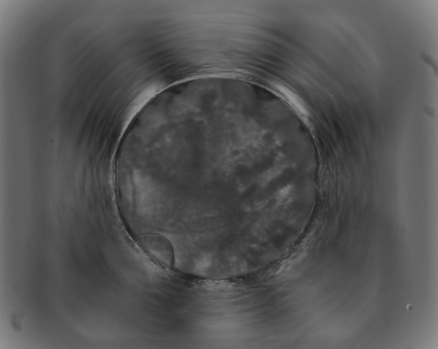 X0000091240907200709061537