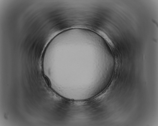 X0000091240908200709061537
