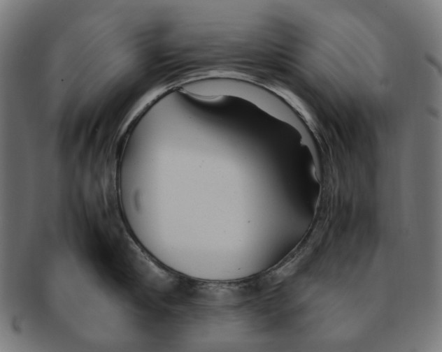 X0000091240910200709061537