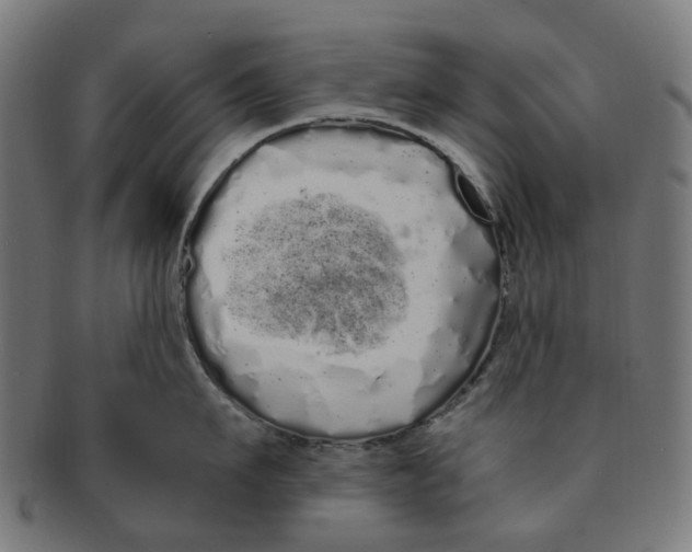 X0000091240911200709061537