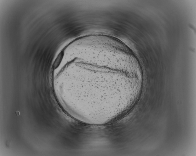 X0000091240912200709061537
