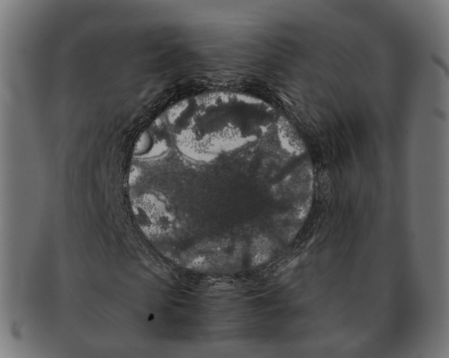 X0000091240913200709061536