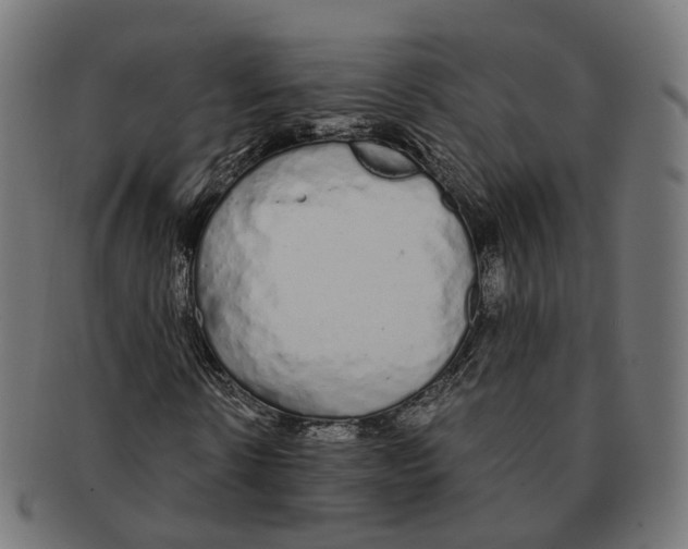 X0000091240914200709061536