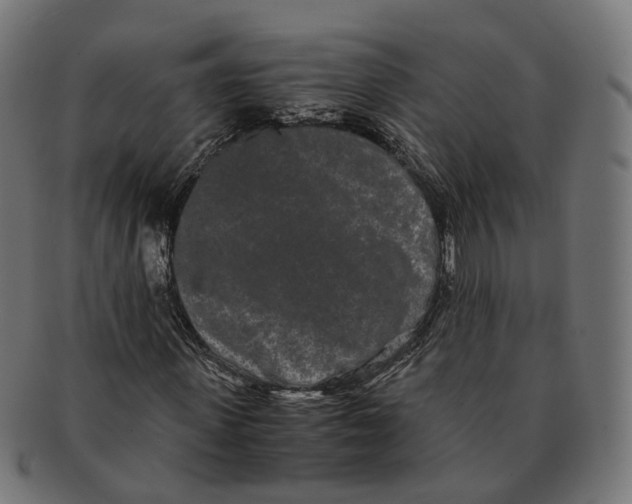 X0000091240915200709061536