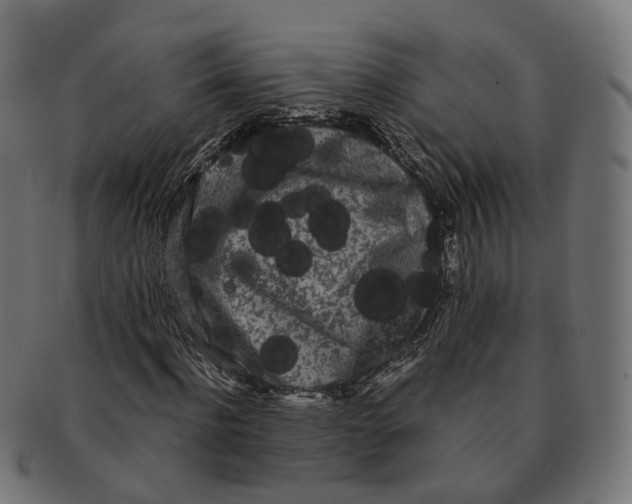 X0000091240916200709061536