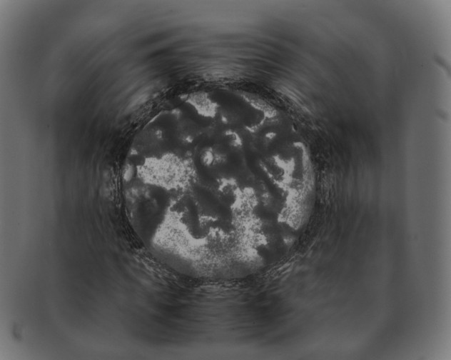 X0000091240917200709061536
