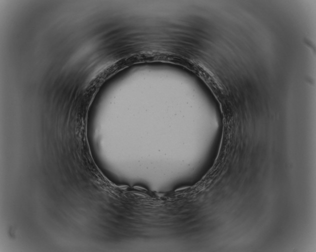 X0000091240919200709061537