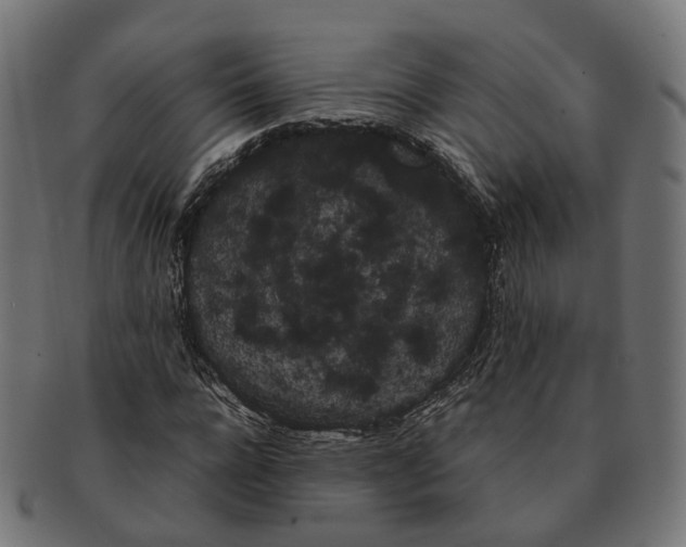 X0000091240920200709061537