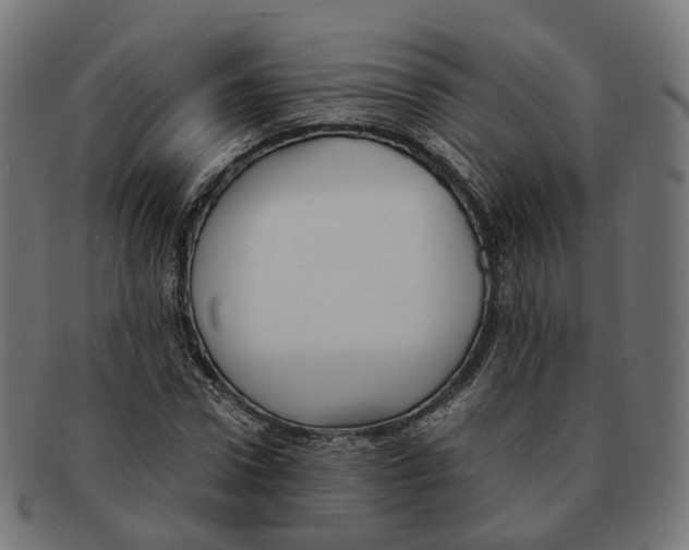 X0000091240922200709061537