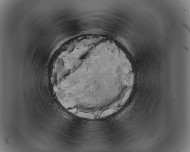 X0000091240923200709061537
