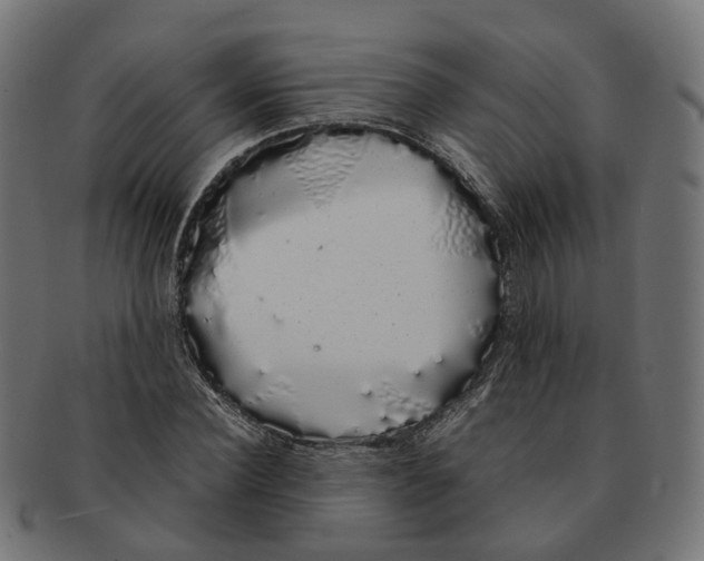 X0000091240924200709061537