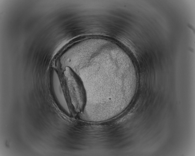 X0000091240925200709061537